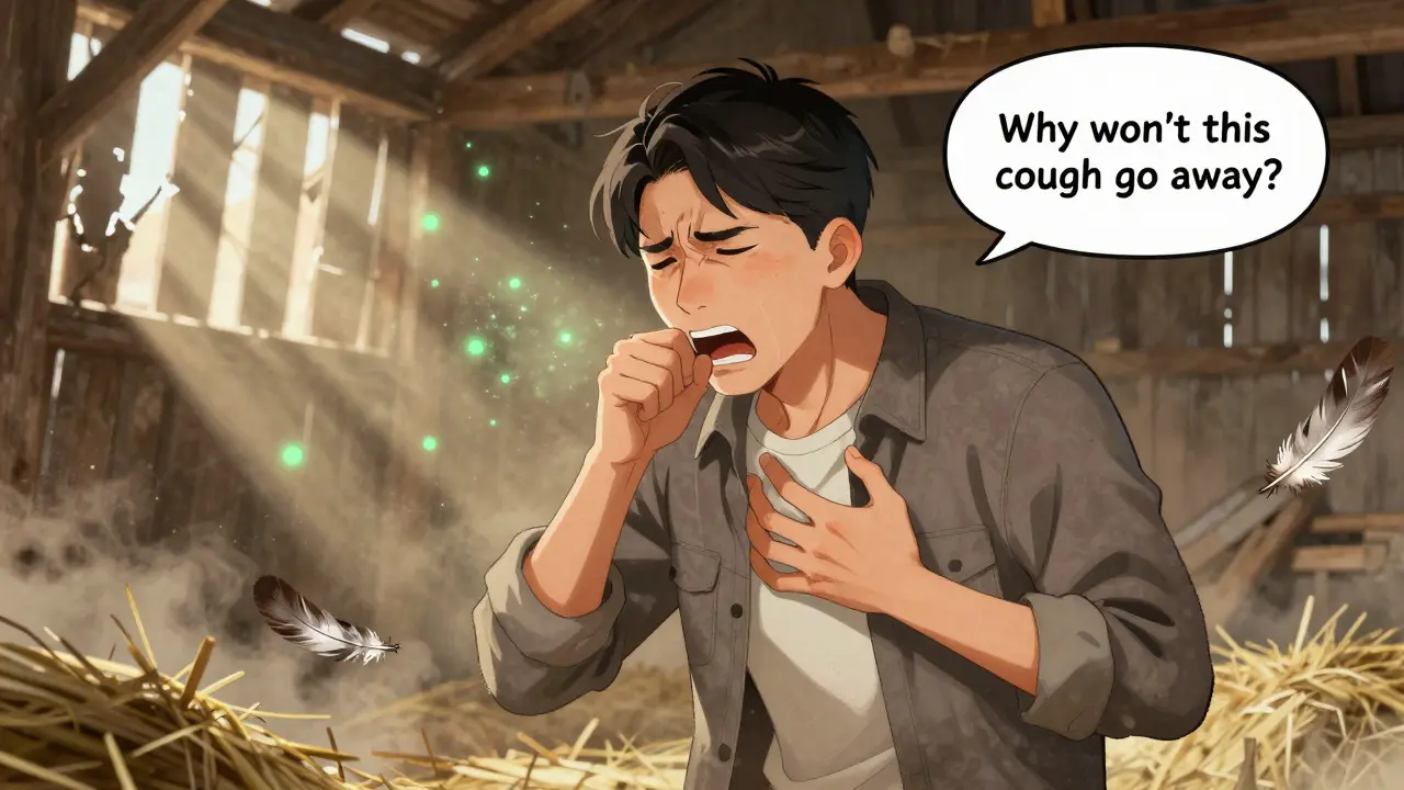 Hypersensitivity Pneumonitis from Medications: Cough and Breathlessness Explained